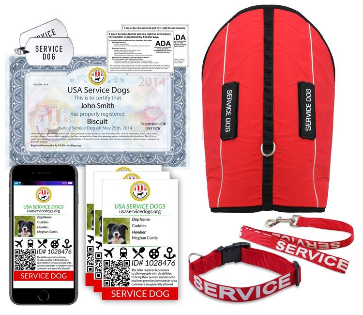 Service Dog Registration Service Dog Registration