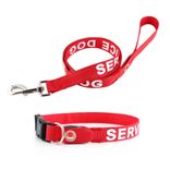 Service Dog LED Leash and Collar Combo Pack